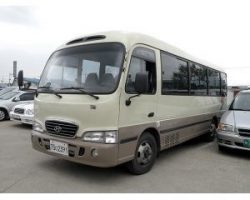 Автобус Hyundai County 2007г.